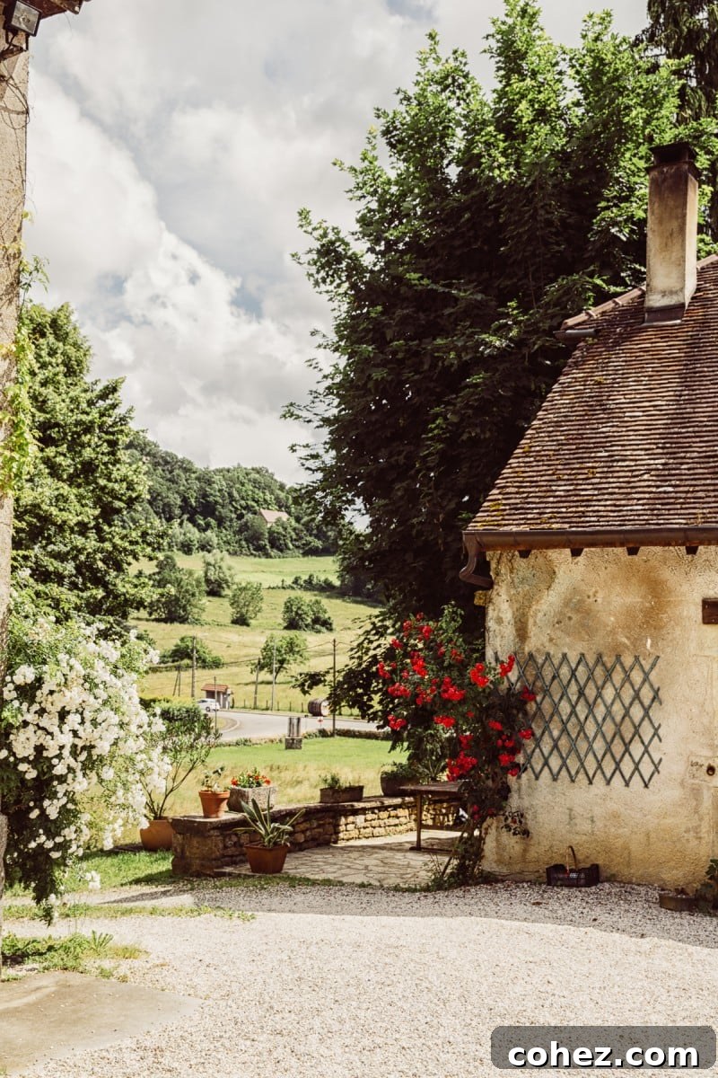 A Culinary Journey Through France's Jura for Comte Cheese 14 Discovering the Beauty and Culture of the Jura Region