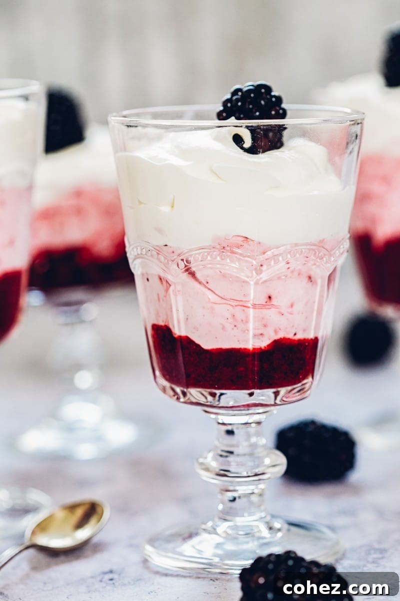 Dreamy Blackberry Fool Parfait 4 How to make Layered Blackberry Fool - Easy dessert recipe