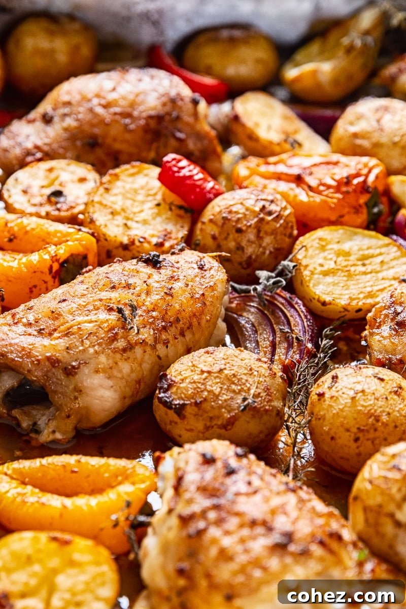 Close up of a roasted chicken thigh and tender potatoes in a baking pan, ready to serve.