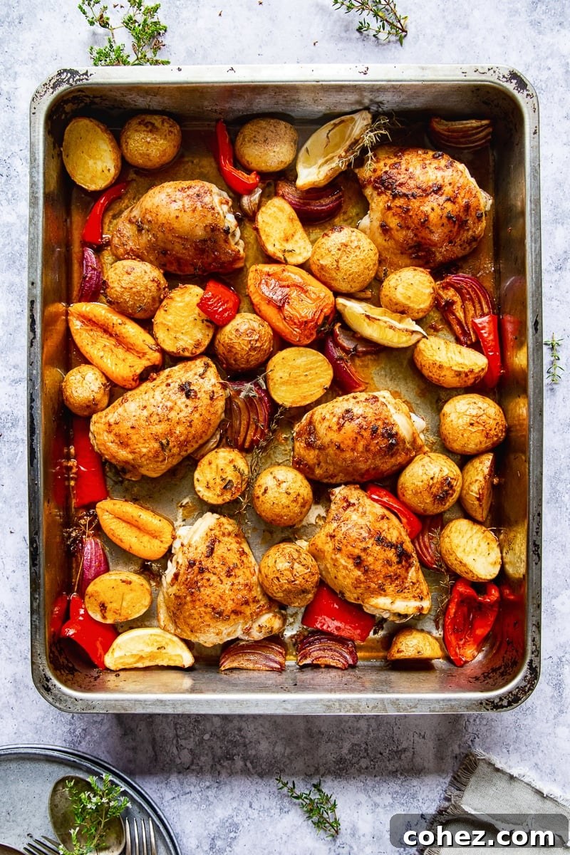Top-down view of a generously loaded baking tray with roasted Spanish chicken, potatoes, and colorful peppers.