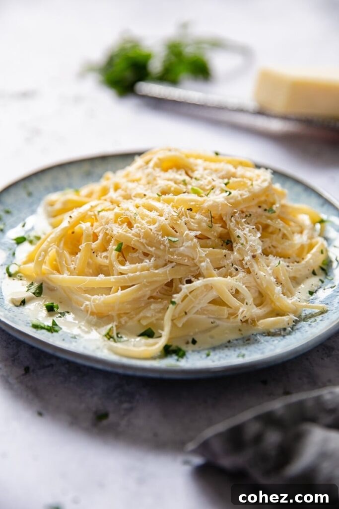 Creamy Pasta Sauce 2 Plate of the finished recipe with parsley sprinkled on top