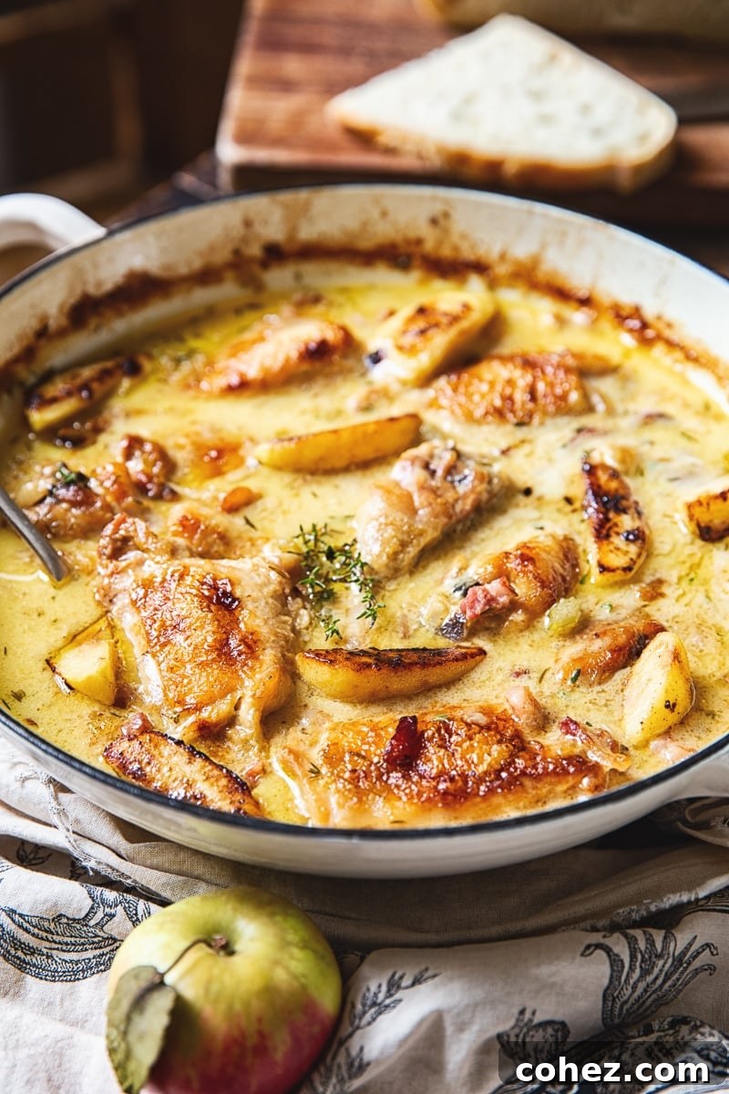 Normandy Cream Chicken Bake 2 french chicken casserole in a shallow pan, ready to serve