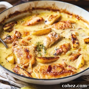french chicken casserole in a shallow pan