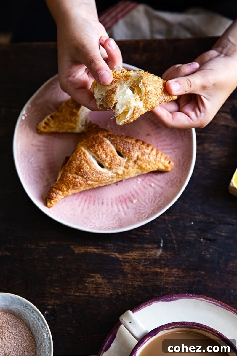 A pair of hands gently holding two freshly baked apple turnovers, showcasing their golden crusts and inviting warmth.