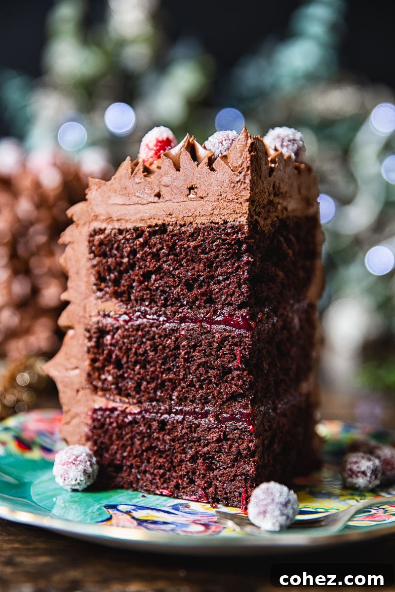 Yuletide Chocolate Ganache Dream with Cranberry Jewels 2 Slice of chocolate cake with cranberry compote and ganache on a plate, ready to be enjoyed.