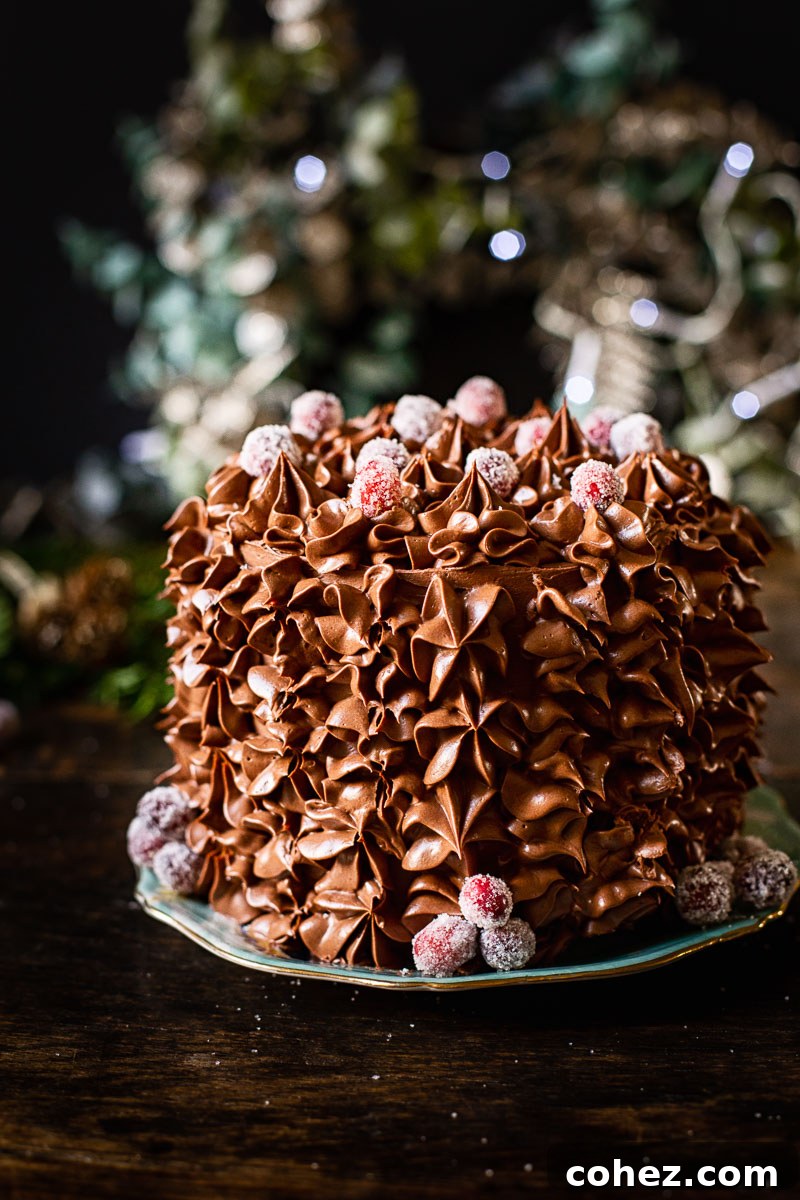 Yuletide Chocolate Ganache Dream with Cranberry Jewels 3 Beautifully decorated Christmas chocolate cake on a festive plate with a holiday wreath in the background.