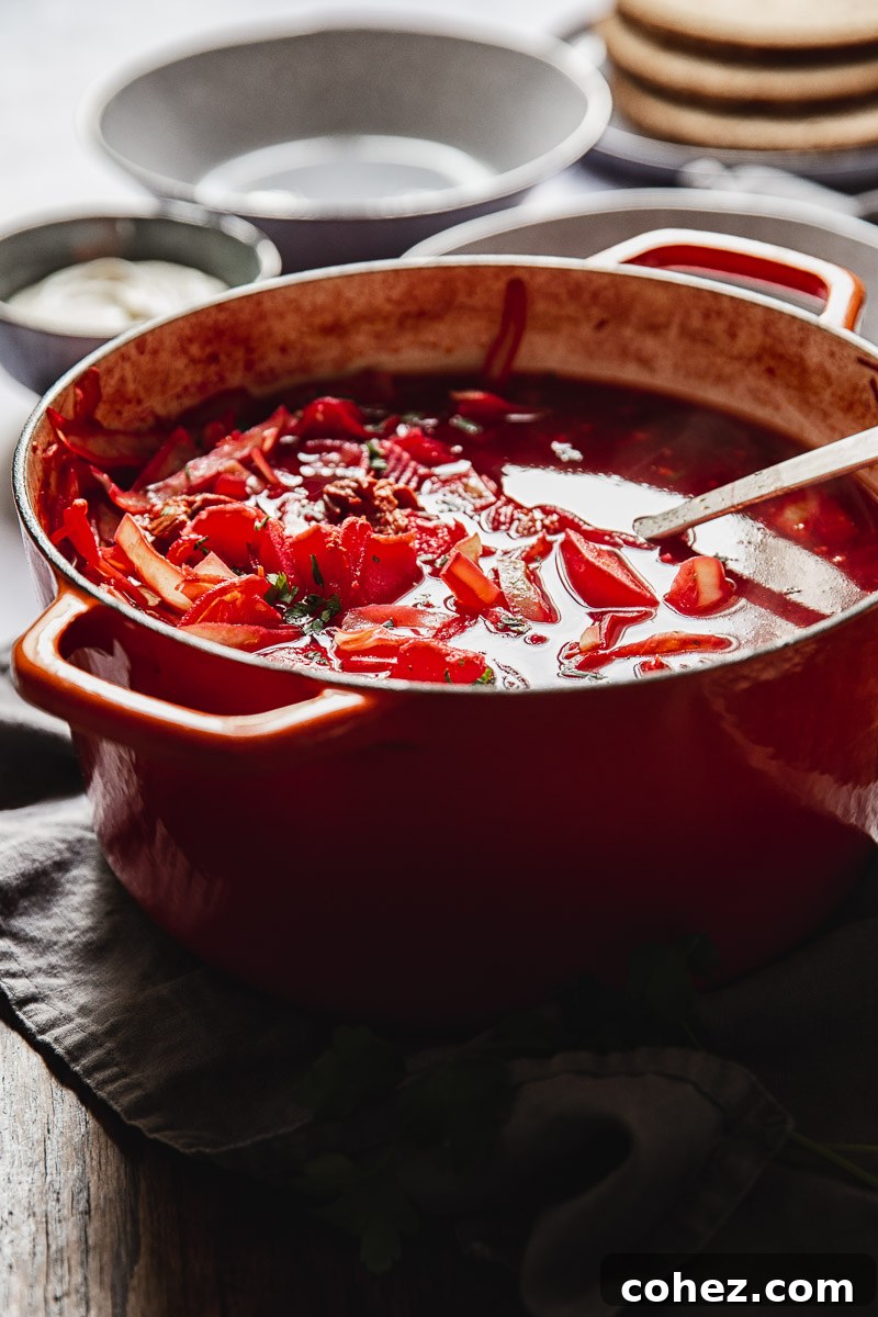 close up of a pot of soup with ladle