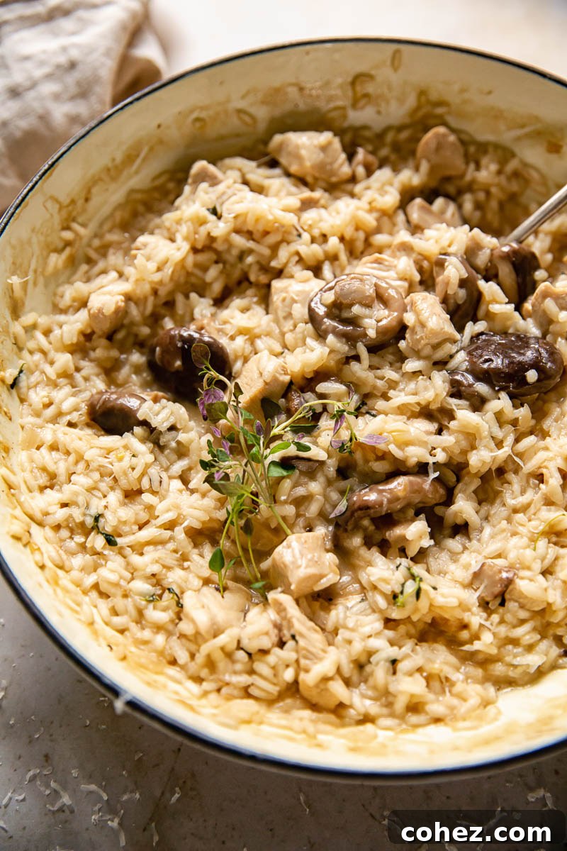 White pan with chicken risotto, with herbs on top