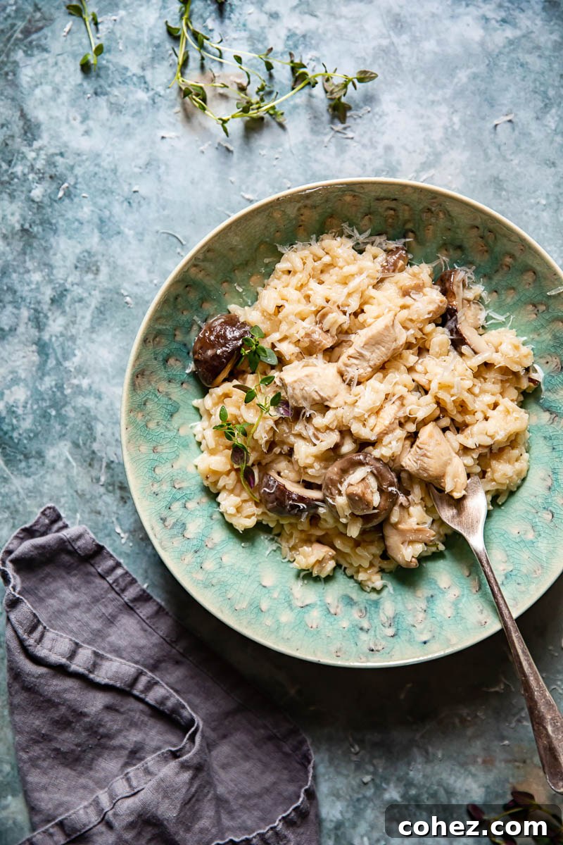 Top down view of a bowl of Chicken Risotto with Mushrooms and Thyme