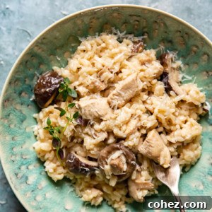 Bowl of Chicken Risotto with a fork