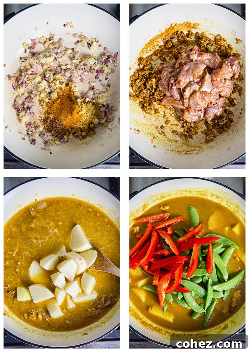 Chinese Chicken Curry process images