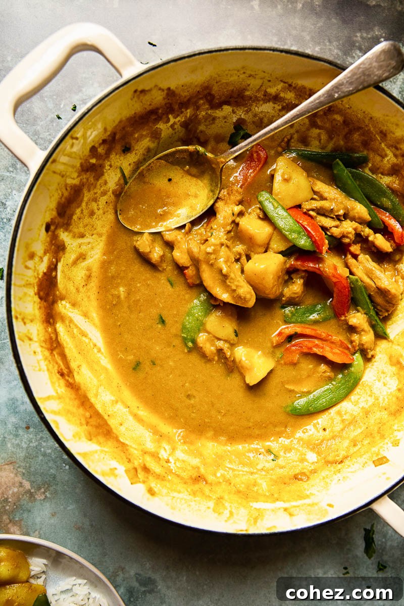 Chinese Chicken Curry