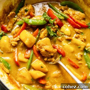 Chinese chicken curry