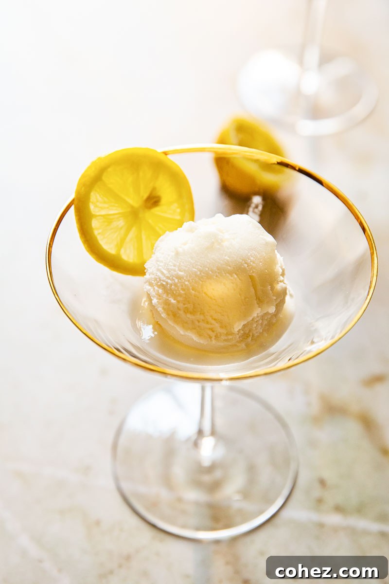 Bright yellow lemon sorbet in a cocktail glass, garnished with a fresh lemon slice.