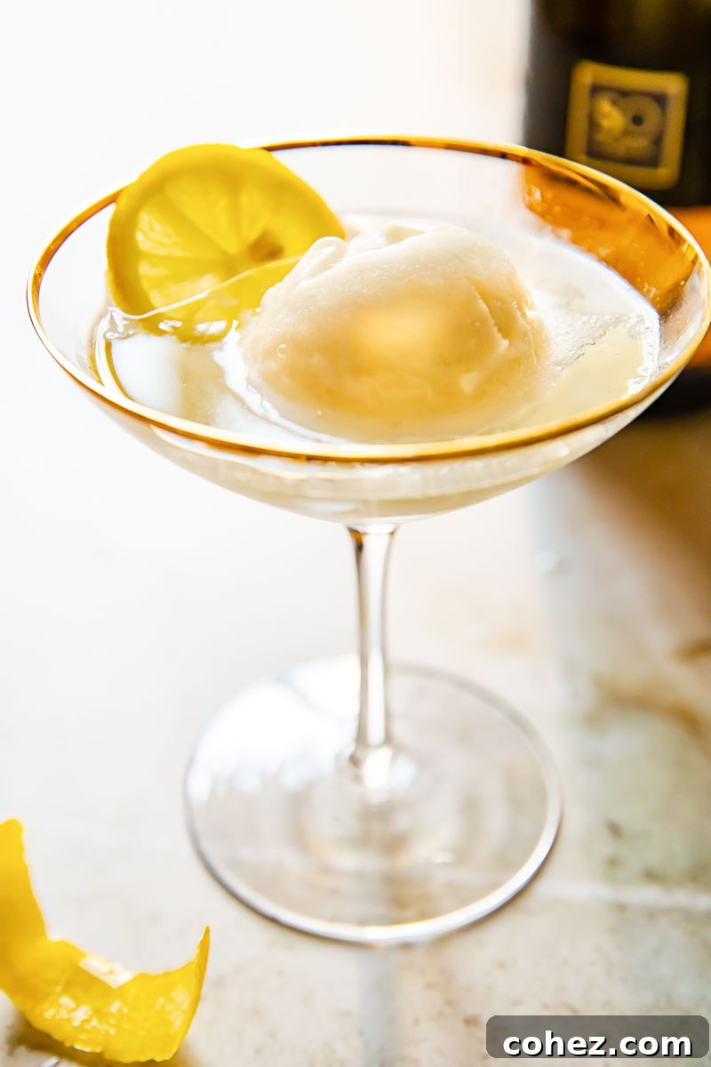A beautifully presented Lemon Prosecco Float (Sgroppino) in a stemmed glass, adorned with a lemon wheel.