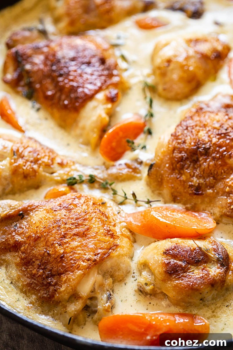 Chicken casserole served with carrots and thyme in a creamy white wine sauce