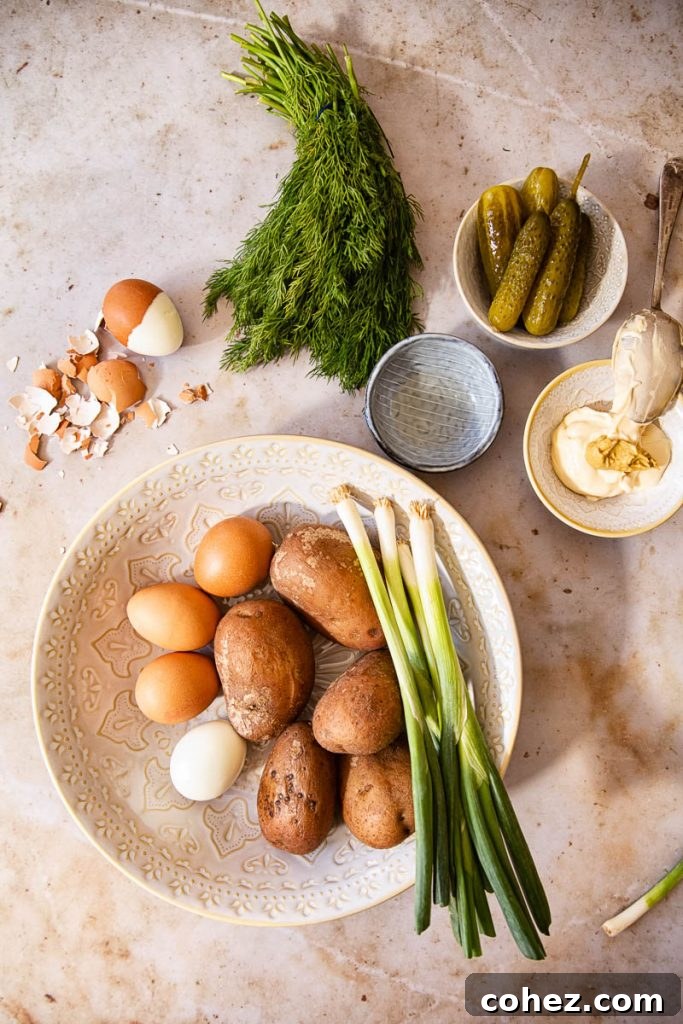 Overhead view of various fresh ingredients, including potatoes, dill, and eggs, on a rustic table.