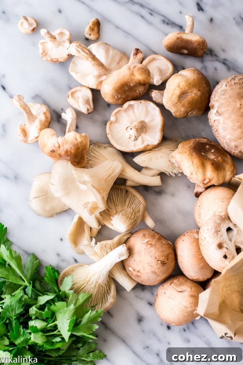 Umami Mushroom Dream 3 wild mushrooms and parsley on marble