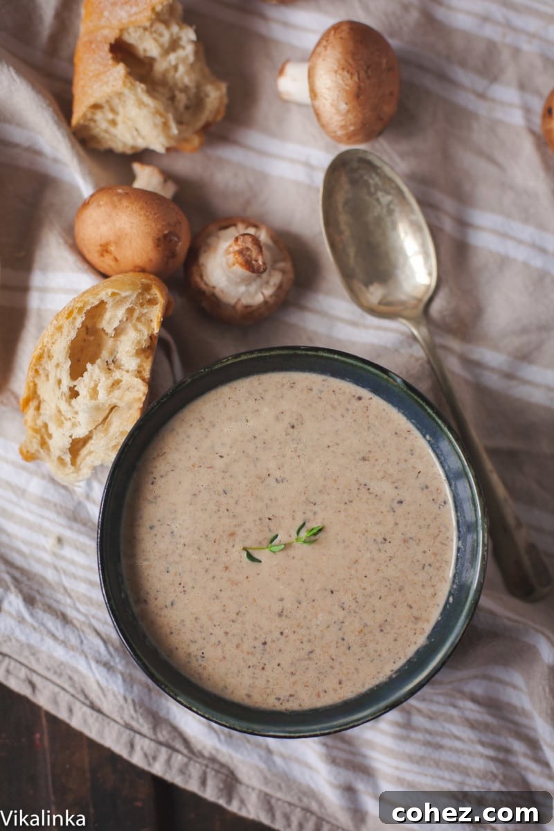 Umami Mushroom Dream 4 Cream of mushroom soup in bowl
