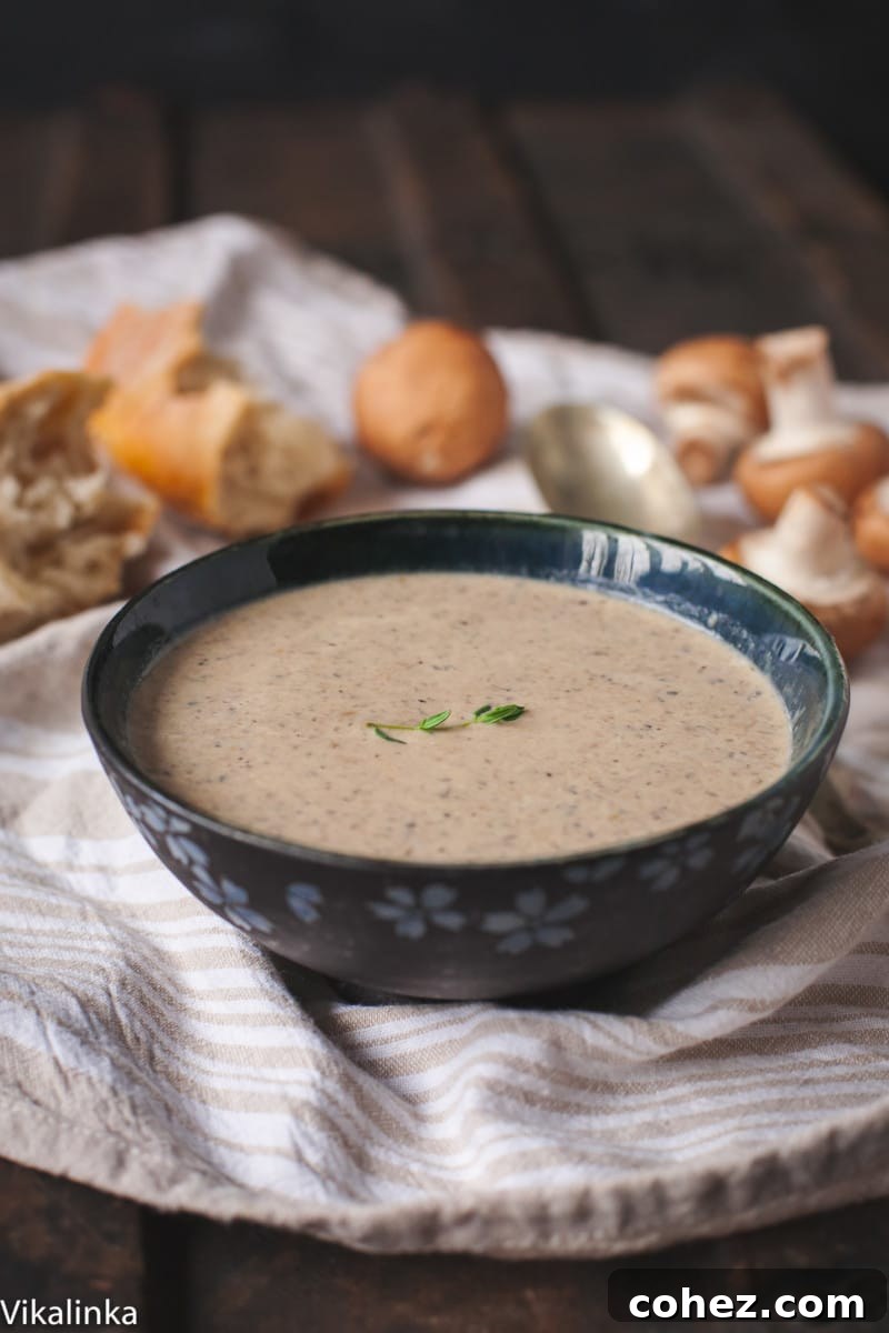 Umami Mushroom Dream 5 Mushroom soup in bowl