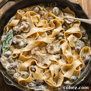 A top-down view of a pan filled with creamy Mushroom Stroganoff and thick pasta, ready to be served, highlighting the rich texture and vibrant colors of the dish.