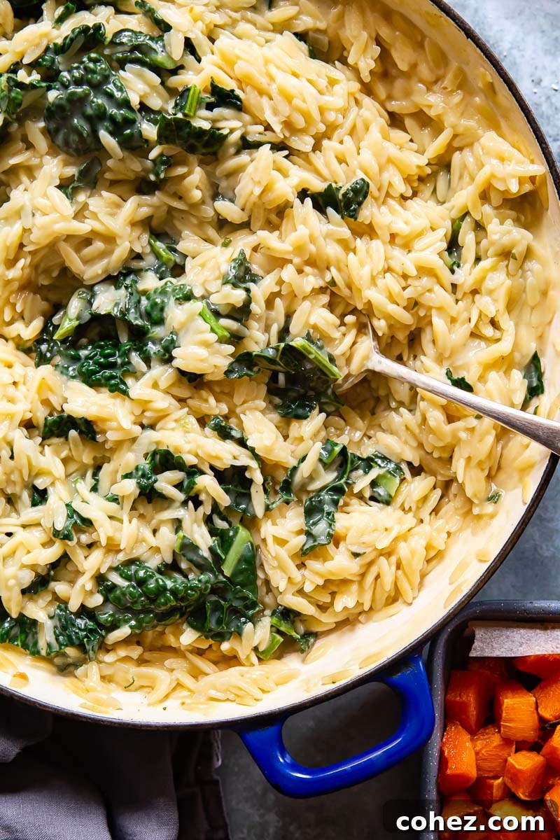 Close-up of creamy orzo pasta with kale, showcasing its rich texture and vibrant ingredients.