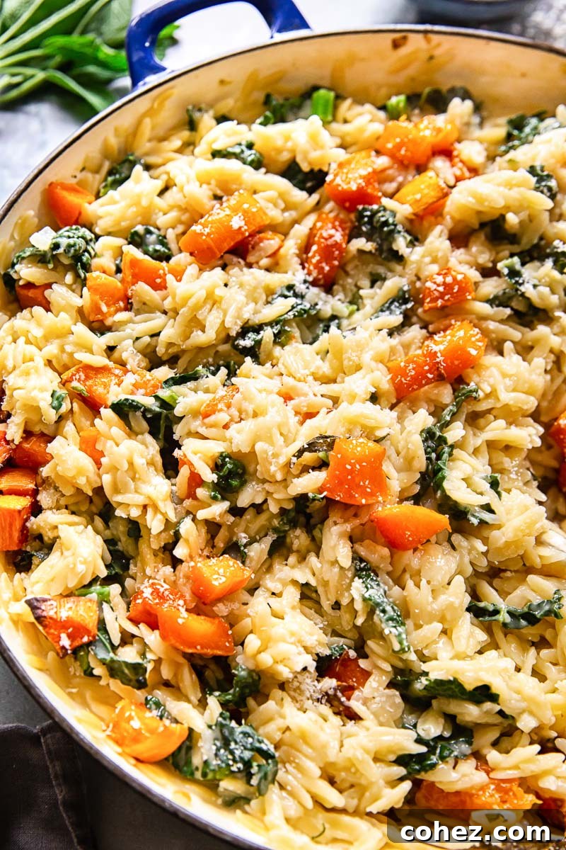 Vegetarian one-pan orzo pasta dish topped with roasted butternut squash, fresh sage, and kale, ready to serve.