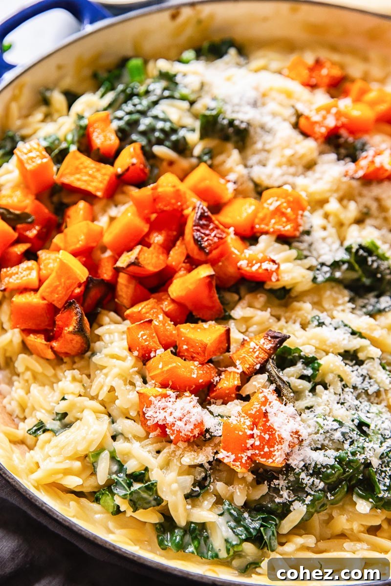Creamy orzo pasta generously topped with golden roasted butternut squash and a sprinkle of Parmesan cheese, ready to be enjoyed.