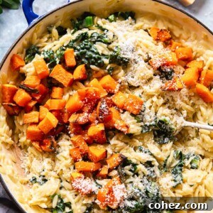 Orzo pasta with roasted butternut squash, kale and Parmesan cheese
