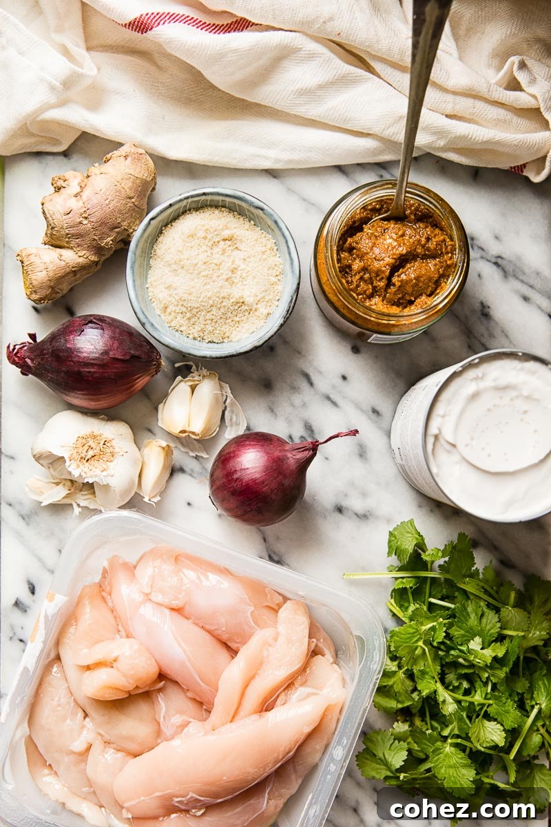A flat lay photograph of all the essential ingredients laid out for making Chicken Korma, including chicken, onions, ginger, garlic, coconut milk, and various spices.