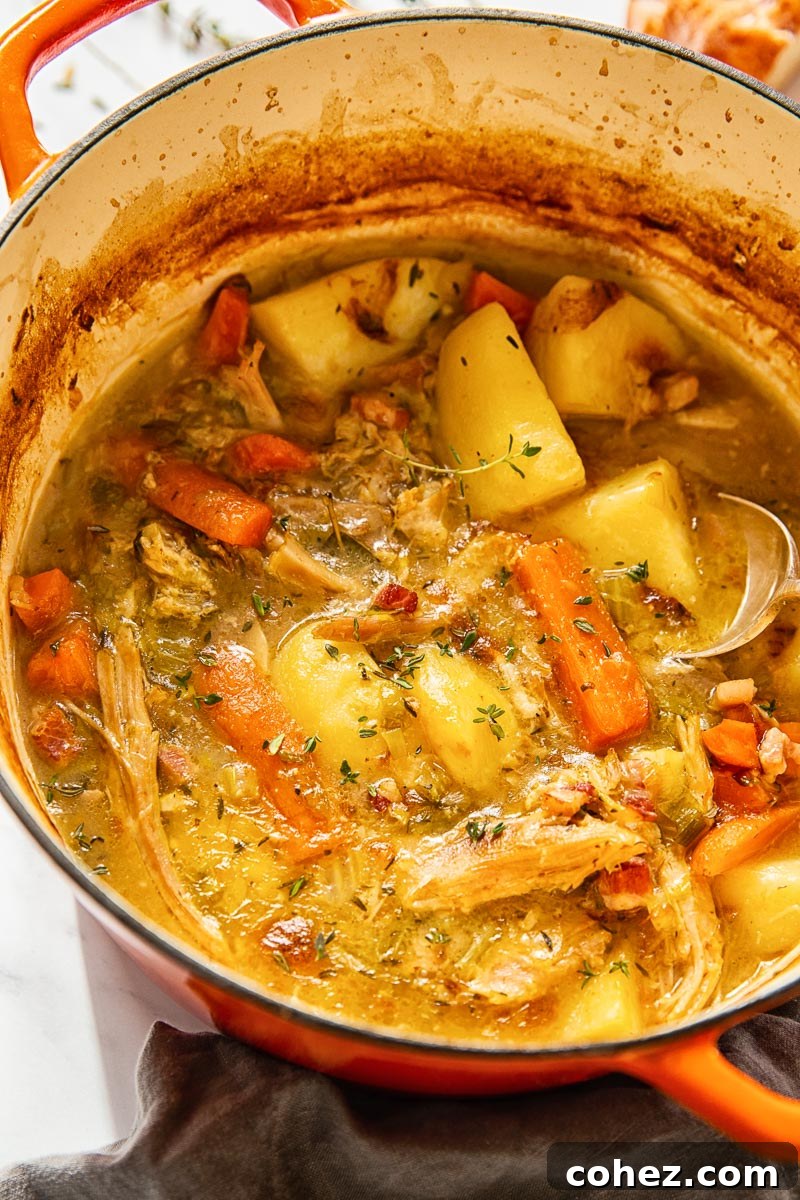 Make Leftovers Magnificent: Hearty Turkey Stew 4 turkey stew with leeks, carrots and potatoes. Dairy free.