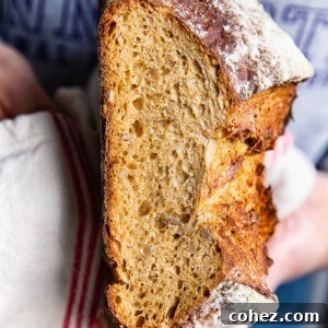 Rye Bread Mastery Baking with Rye Flour Unveiled 6 Sliced Rye Bread with interior crumb exposed