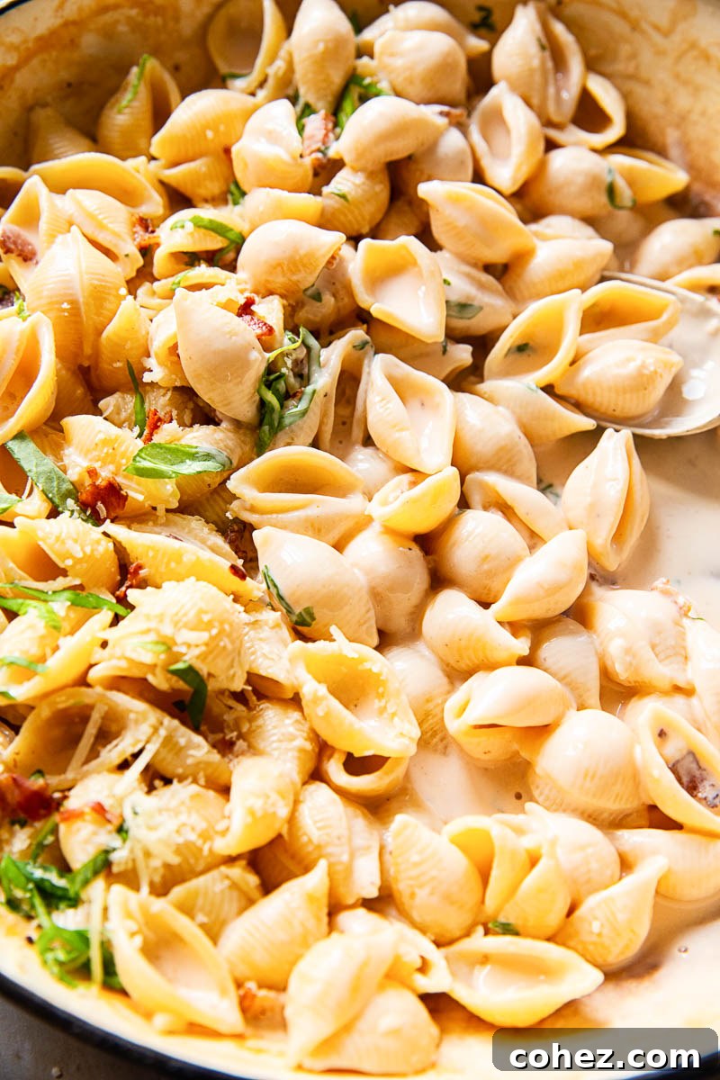 pasta shells in creamy sauce