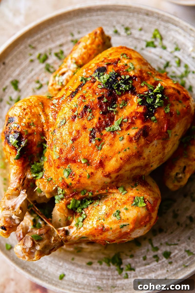 Perfectly roasted whole chicken with crispy golden skin on a grey platter, ready to be served