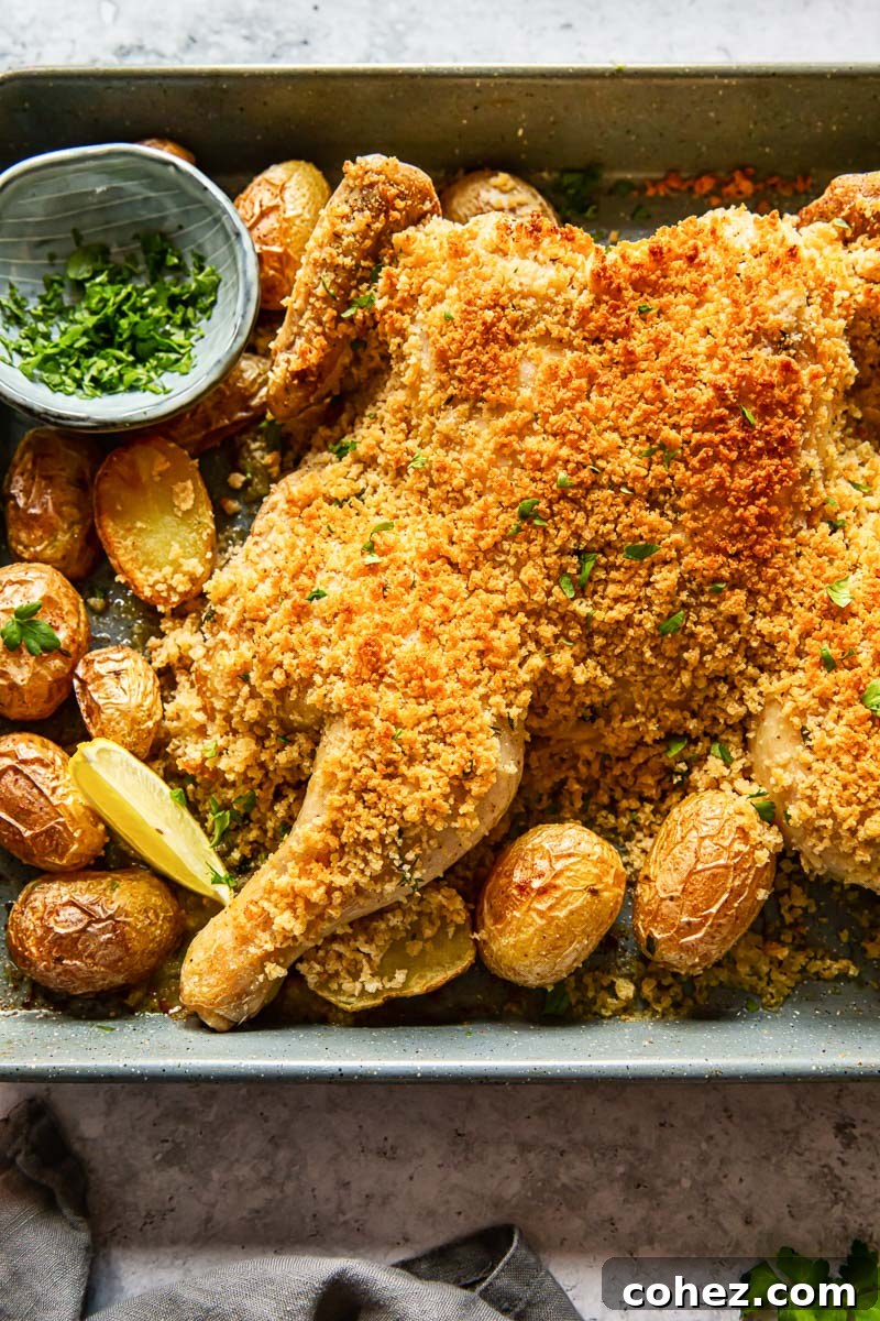 spatchcock chicken coated with breadcrumbs and roast potatoes