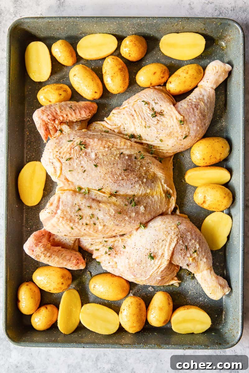 uncooked butterflied chicken and potatoes on a pan