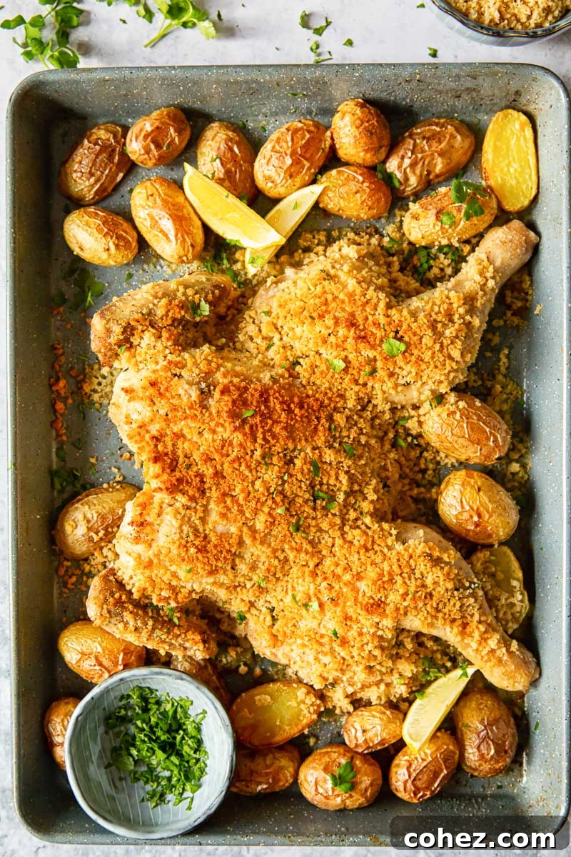 spatchcock chicken in breadcrumbs and baby potatoes on a sheet pan