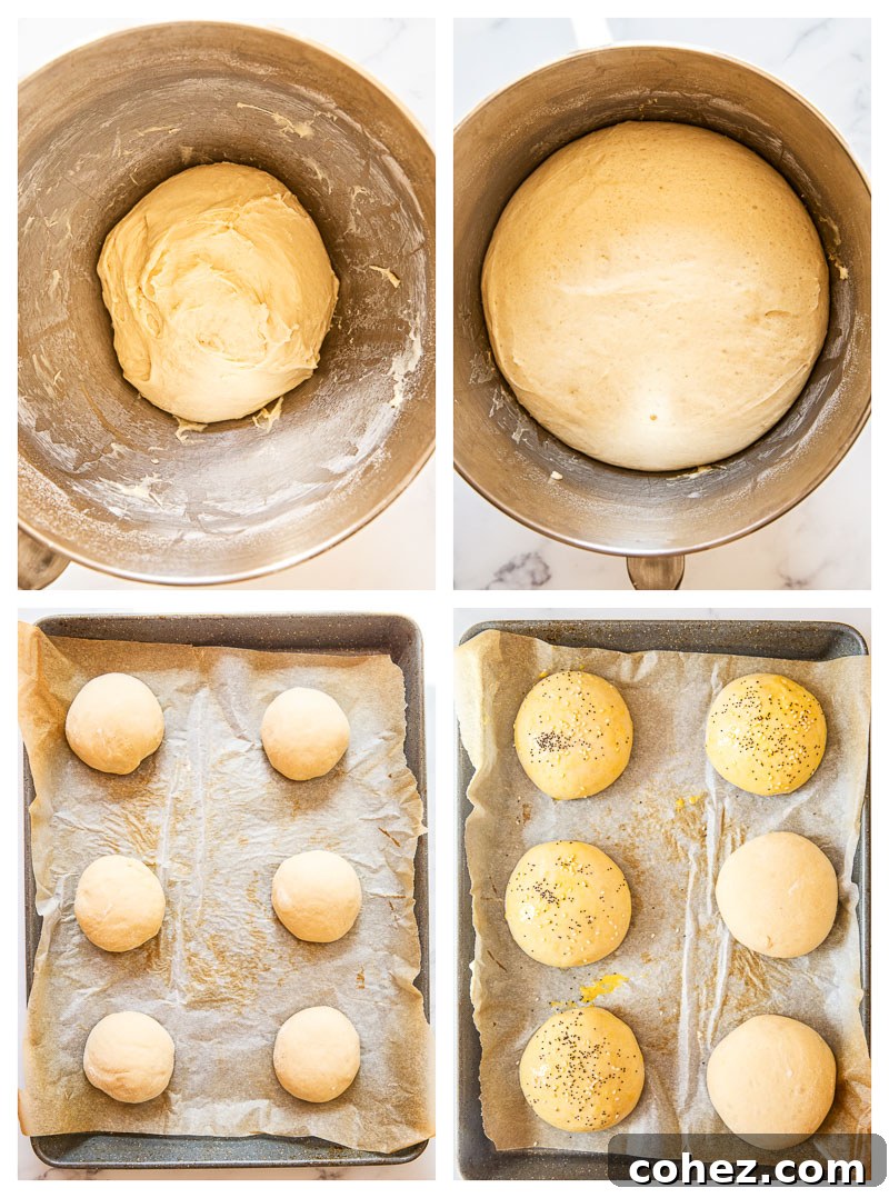 Quick 2-Hour Hamburger Buns 4 burger buns in the process of being made