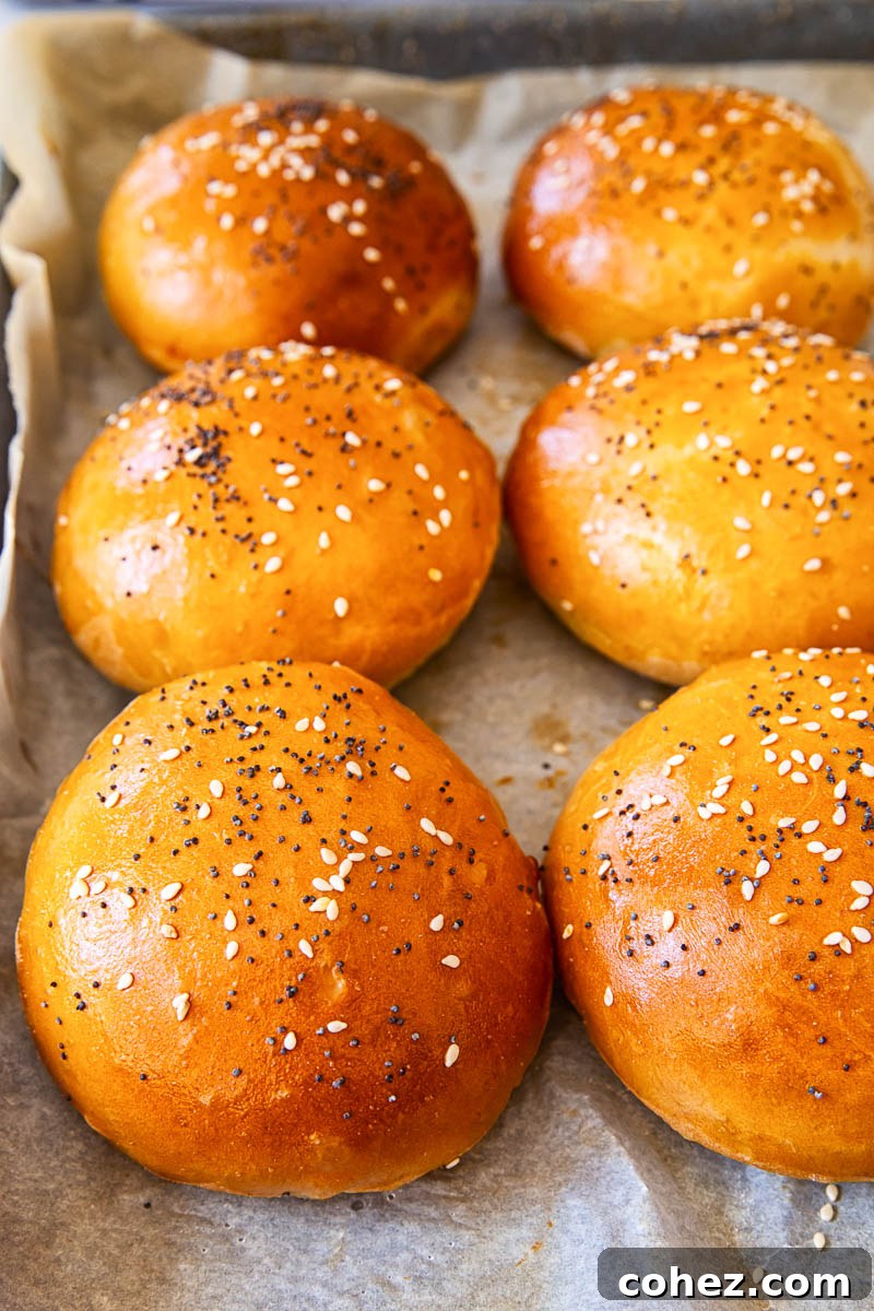 Quick 2-Hour Hamburger Buns 5 6 burger buns