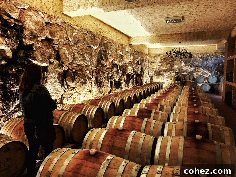 Historic wine storage cave with rows of oak barrels aging wine in a winery in Campania, Italy