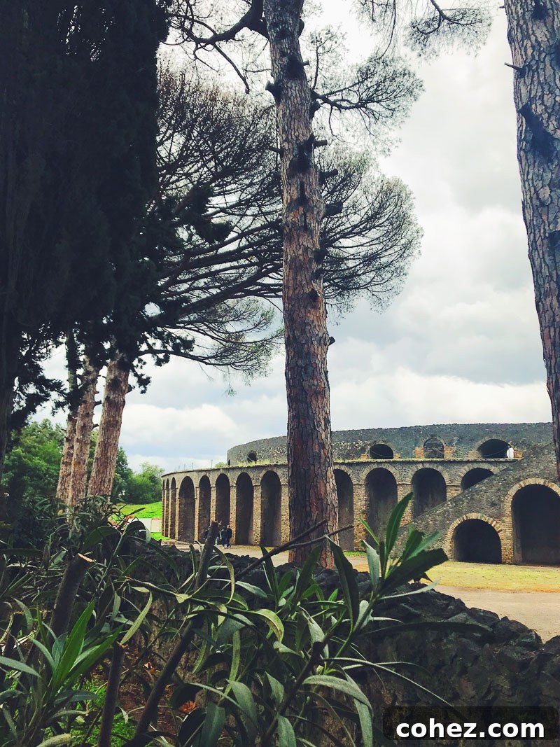 Vast archaeological ruins of Pompeii with ancient structures and a pathway under a clear sky