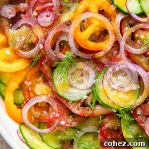 Closeup of the finished cucumber and tomato salad, ready to serve