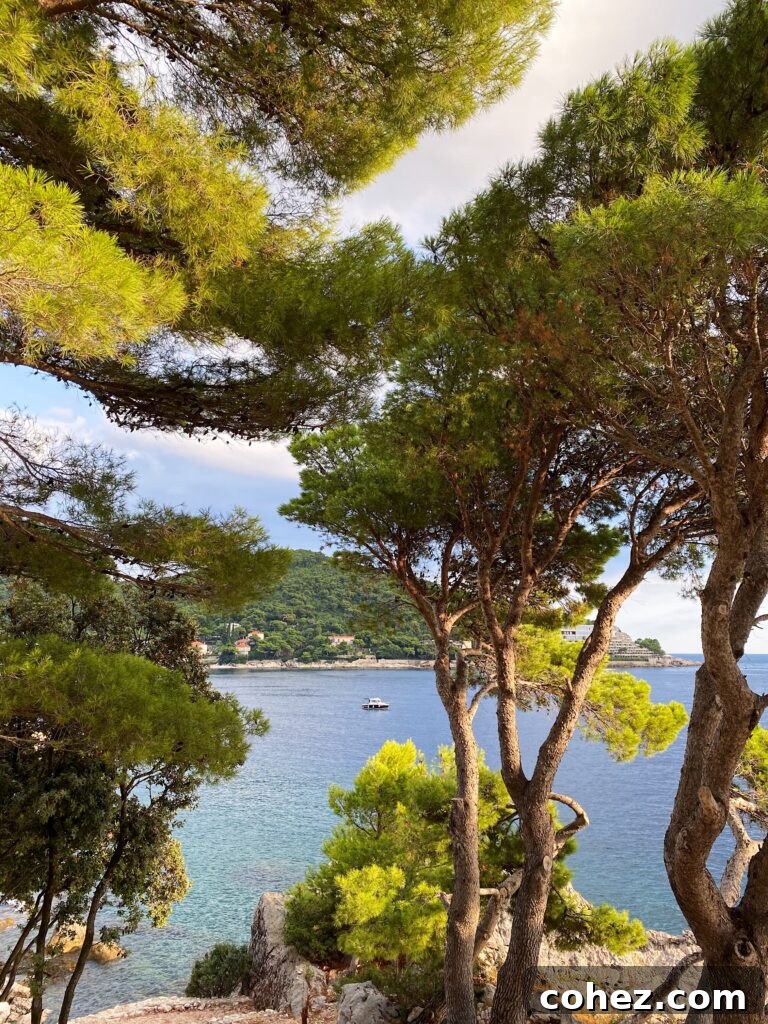 A bay with a boat seen through trees