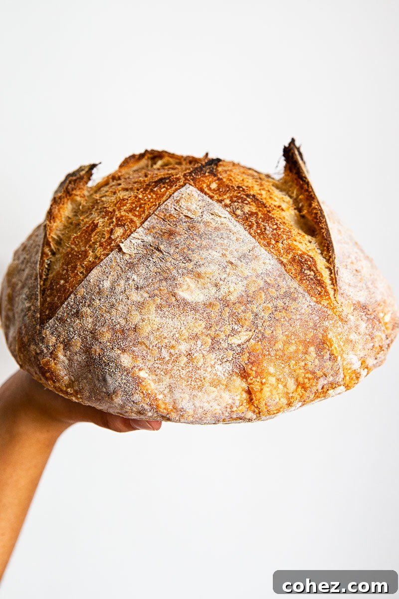A beautifully baked sourdough loaf, held gently in a baker's hand, showcasing its rustic crust and inviting texture.