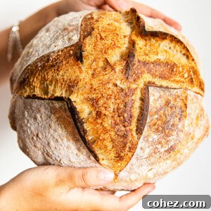 sourdough bread crust