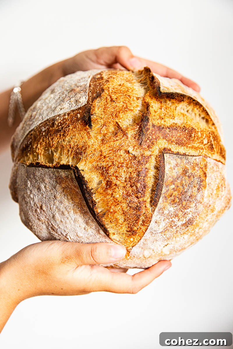 Close-up of a golden sourdough bread crust with a beautiful ear, indicating a successful bake.
