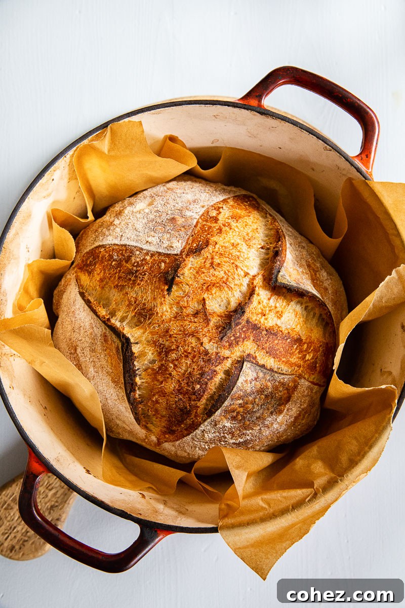 Golden-crusted sourdough bread being carefully removed from a hot Dutch oven.