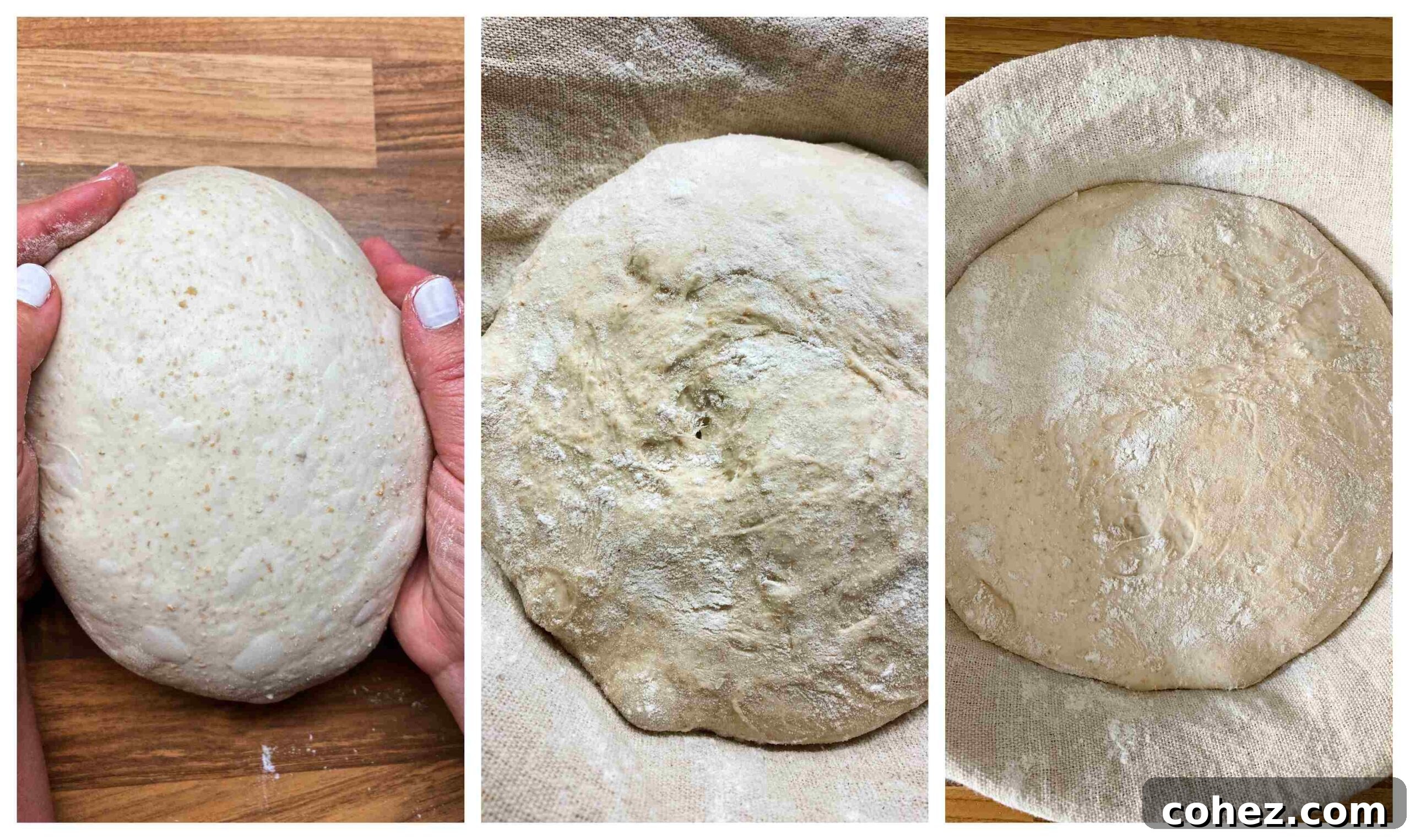 A series of images demonstrating the sourdough fermentation process: dough shaped for cold proofing, then after 16 hours in the refrigerator with visible surface blisters.
