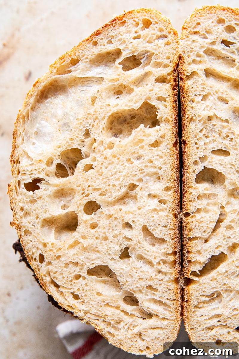 A close-up view of the interior crumb of a freshly baked sourdough bread, showcasing its open, airy texture and irregular holes.