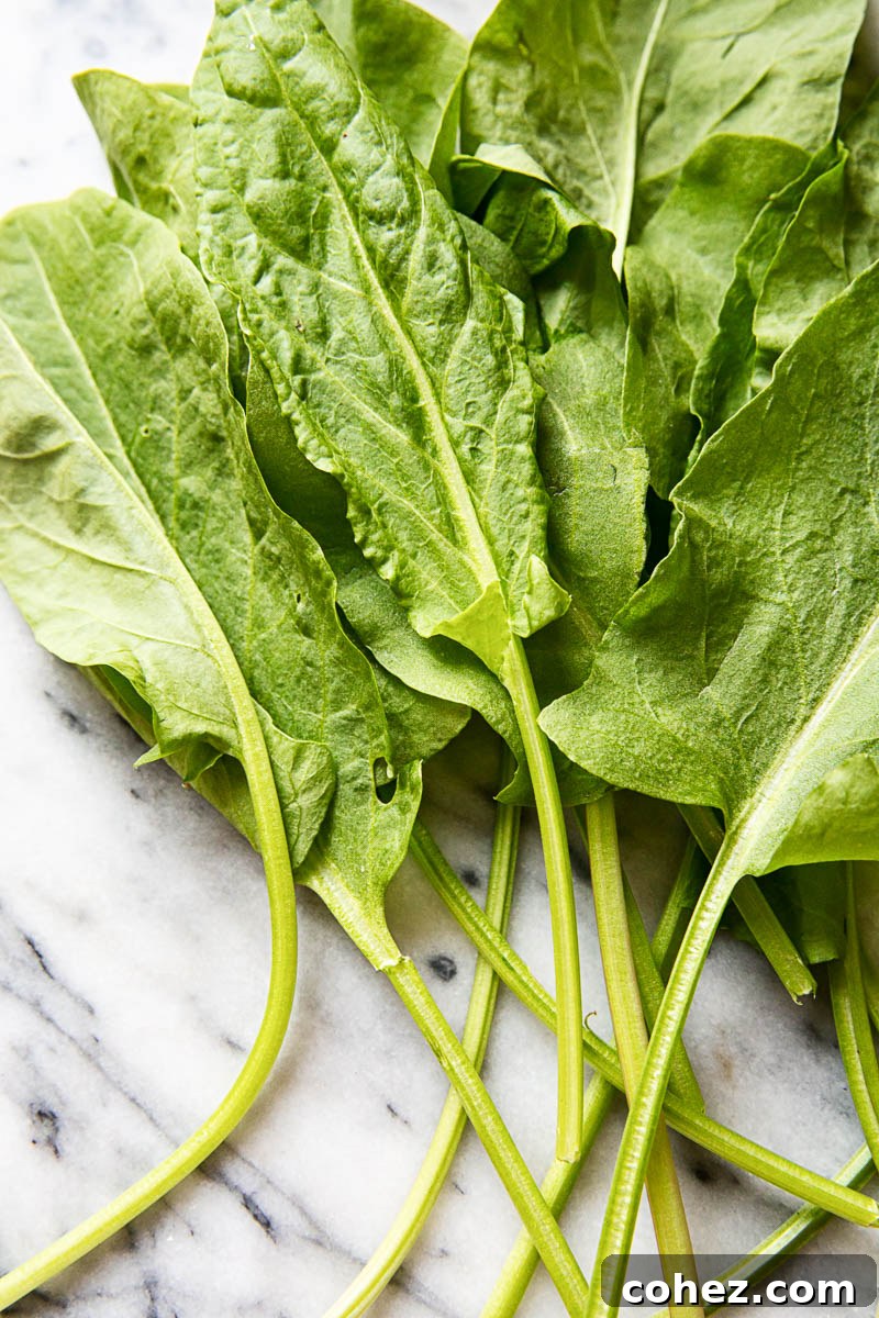 Fresh, bright green sorrel leaves arranged on a sleek marble background, highlighting their smooth texture and vibrant color.